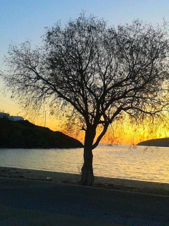 ليبسوي Calypso Hotel المظهر الخارجي الصورة